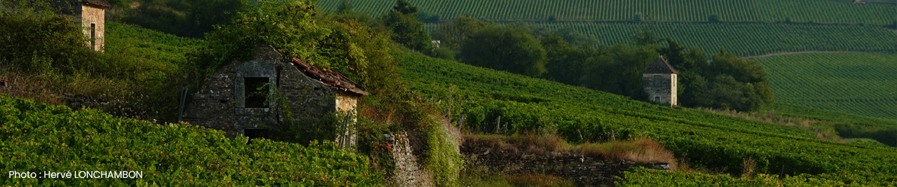 Bannière Ville de Givry