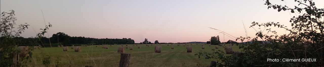 Bannière Ville de Givry