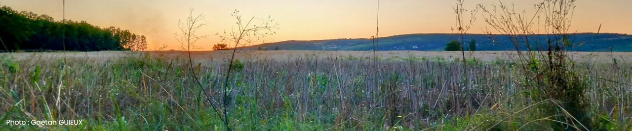 Bannière Ville de Givry
